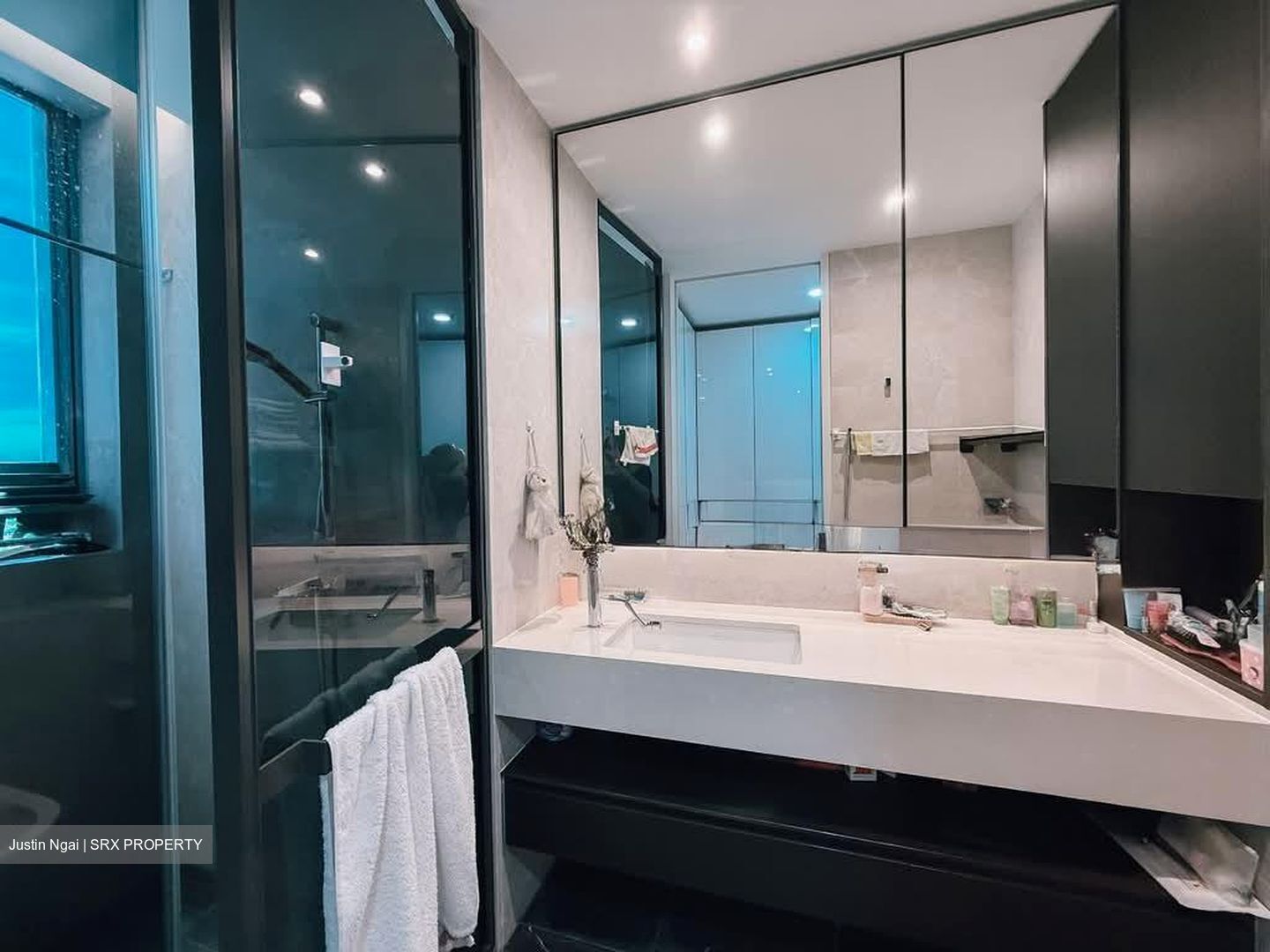 Amber Park (D15), Condominium #561499931